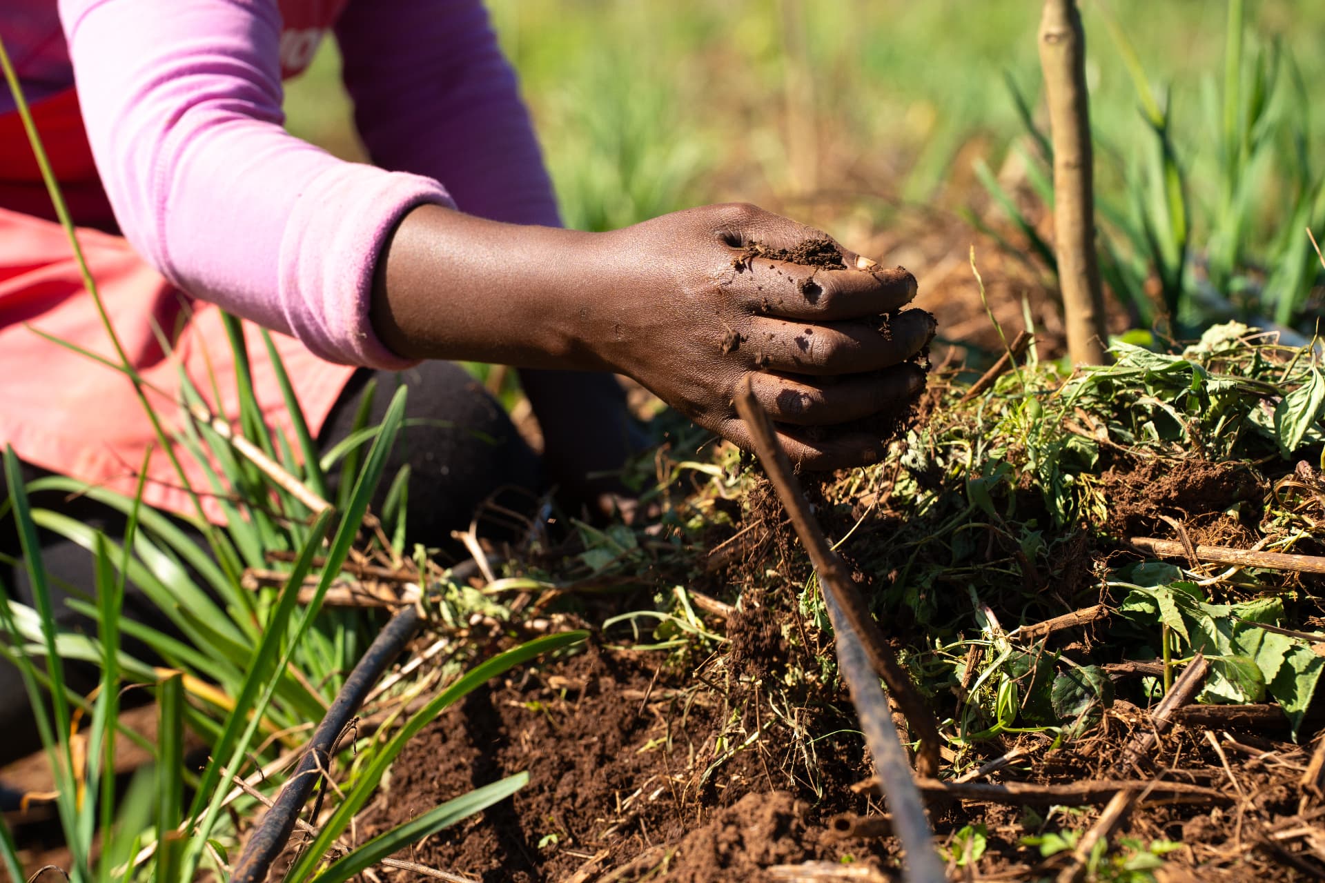 Hands working compost and mulch into soil
