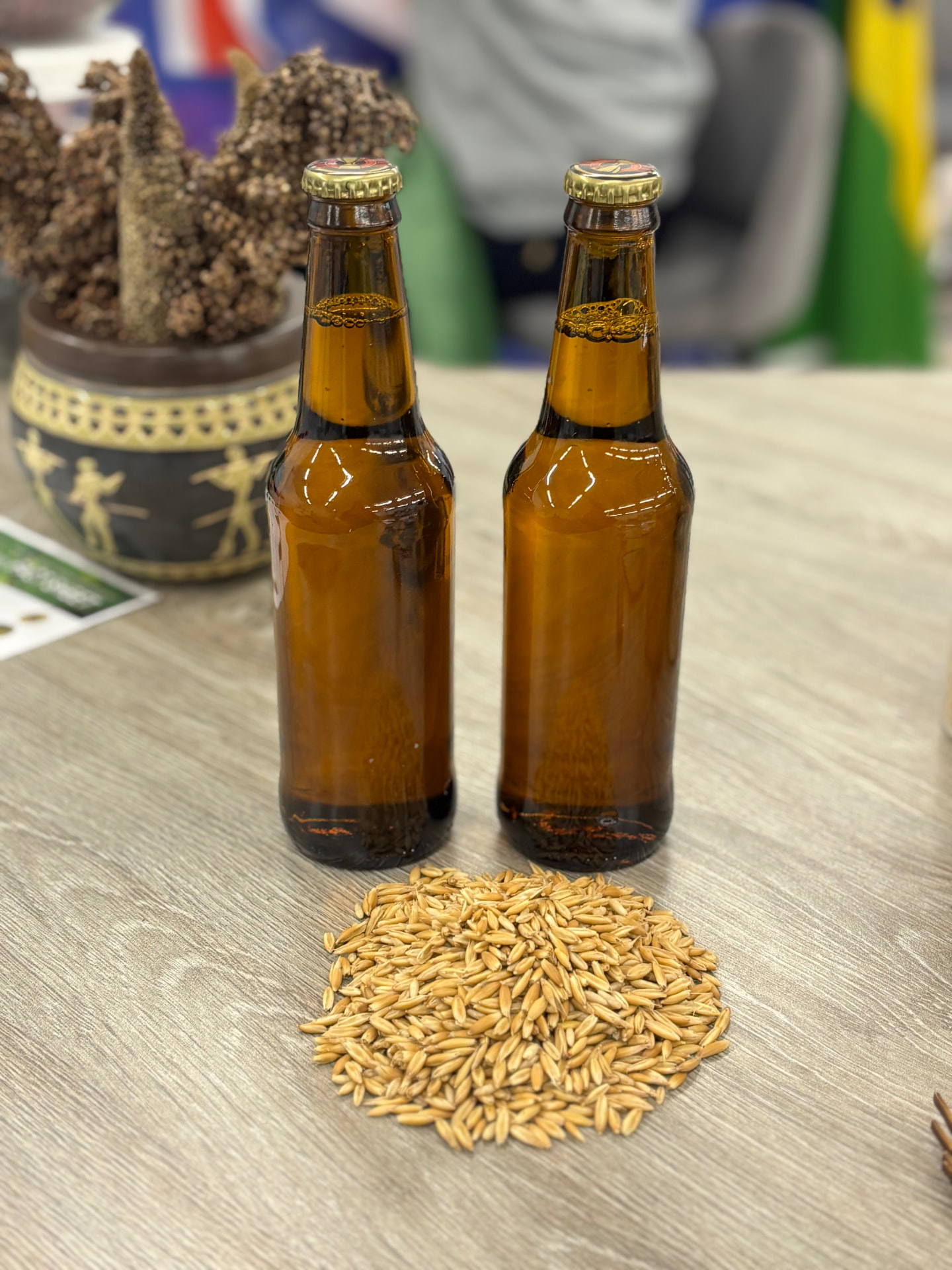 ARC exhibition display of two bottles of beer alongside barley grain used in brewing research.