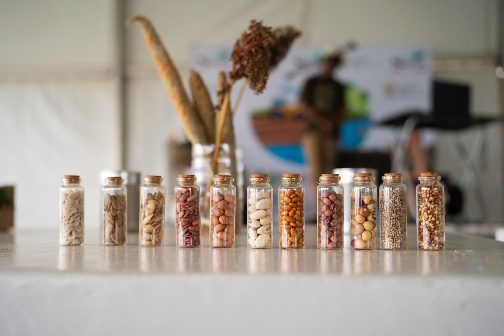 Seed varieties displayed in labelled glass jars at the Farmer's Day exhibition